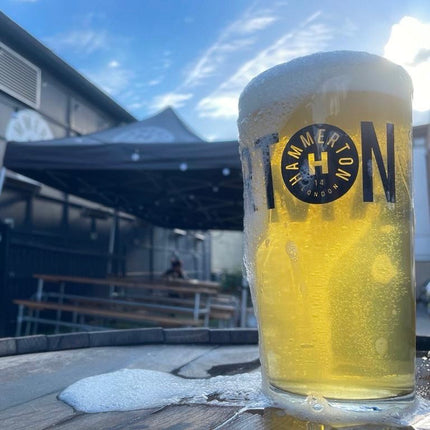 GROLL Pilsner 4.7% (24 x 330ml)
